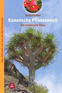 Kanarische Pflanzenwelt: Die heimische Flora