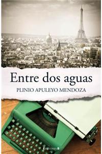 Entre DOS Aguas