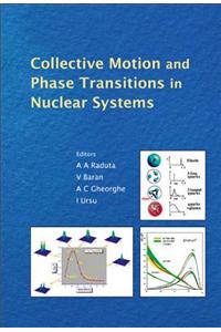 Collective Motion And Phase Transitions In Nuclear Systems - Proceedings Of The Predeal International Summer School In Nuclear Physics