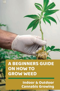 Beginners Guide On How To Grow Weed