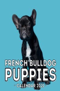 French Bulldog Puppies Calendar 2021