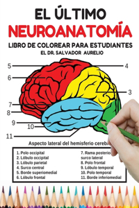 El último Neuroanatomía Libro de colorear para estudiantes
