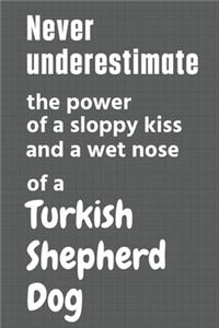 Never underestimate the power of a sloppy kiss and a wet nose of a Turkish Shepherd Dog