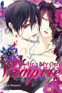 He's My Only Vampire, Volume 8