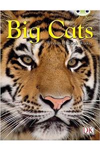 BC NF Brown B/3B Big Cats