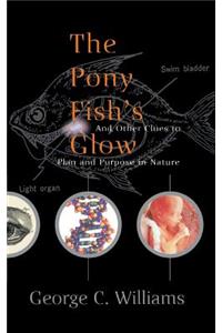 The Pony Fish's Glow