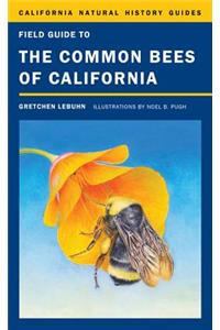 Field Guide to the Common Bees of California
