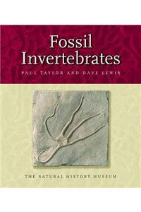 Fossil Invertebrates