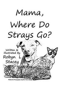 Mama, Where Do Strays Go?