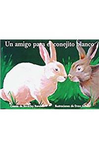 Un Amigo Para El Conejito Blanco (a Friend for Little White Rabbit)