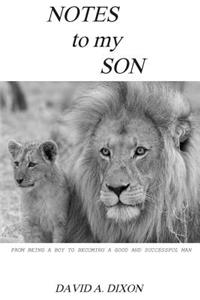 Notes to My Son