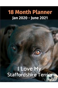 Jan 2020 - June 2021 18 Month Planner
