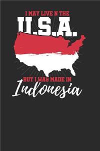I May Live in the USA But I Was Made in Indonesia