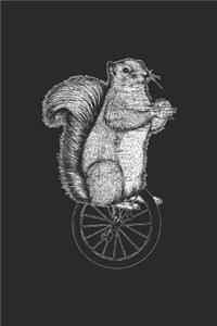 Squirrel Unicycle