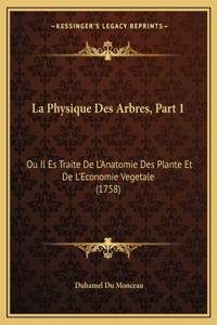 Physique Des Arbres, Part 1