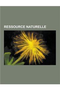 Ressource Naturelle: Charbon, Gaz Naturel, Mineral, Petrole, Utilisation Durable Des Ressources Naturelles, Ressource Non Renouvelable, Res