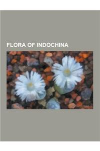 Flora of Indochina: Absolmsia, Adenanthera Pavonina, Aglaodorum, Amorphophallus Paeoniifolius, Areca Catechu, Bambusa Vulgaris, Bolbitis H