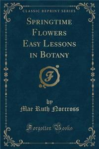 Springtime Flowers Easy Lessons in Botany (Classic Reprint)