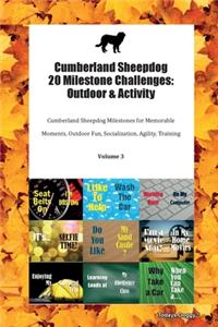 Cumberland Sheepdog 20 Milestone Challenges