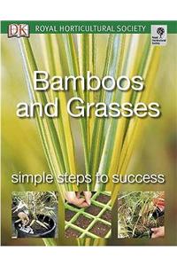 Bamboos and Grasses