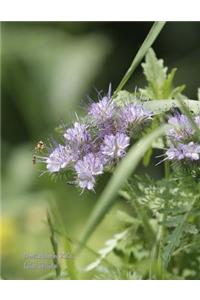 Notizbuch XXL Lila Blüte