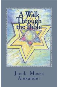 Walk Through the Bible