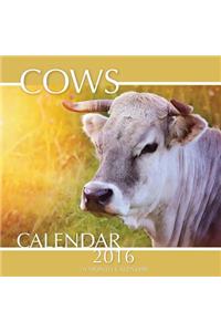 Cows Calendar 2016