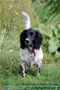 English Springer Spaniel Affirmations Workbook English Springer Spaniel Presents: Positive and Loving Affirmations Workbook. Includes: Mentoring Questions, Guidance, Supporting You.