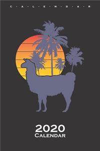 Beach Lama Calendar 2020