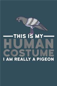 This is my human costume i am really a pigeon