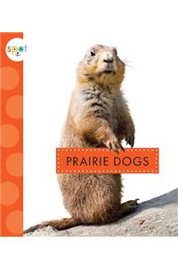Prairie Dogs