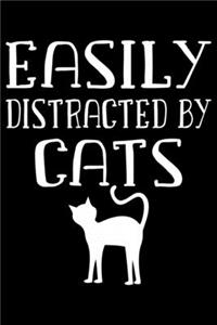 Easily distracted by cat