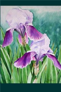 Purple Iris