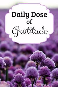 Daily Dose of Gratitude