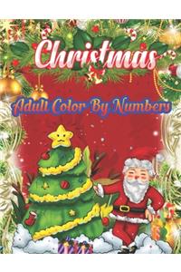 Christmas Adult Color By Numbers