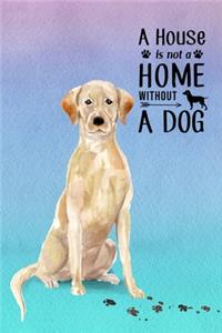 A House is Not a Home Without a Dog