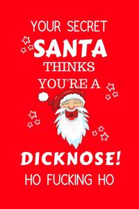 Your Secret Santa Thinks You're A Dicknose Ho Fucking Ho