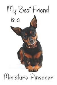 My best Friend is a Miniature Pinscher