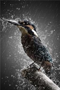 Rain Bird Notebook