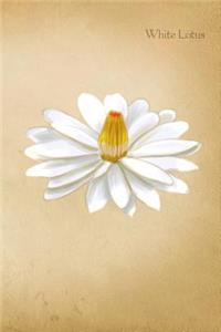 White Lotus