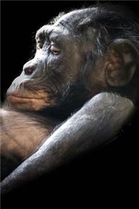 Gorilla Notebook - Journal Gift for Cute Animal Lovers