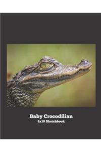 Baby Crocodilian 8x10 Sketchbook