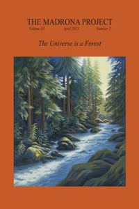 The Madrona Project: The Universe Is a Forest