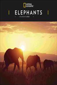 ELEPHANTS NAT GEO W 2020