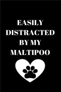 Easily Distracted by My Maltipoo