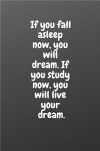 If You Fall Asleep Now, You Will Dream. If You Study Now, You Will Live Your Dream.