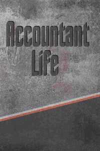Accountant Life