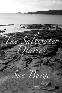 The Saltwater Diaries
