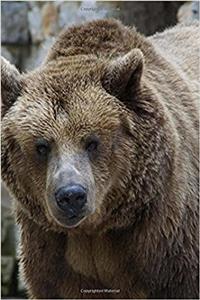 Staring Down a Brown Grizzly Bear Journal