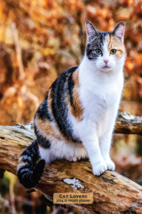 Cat Lovers 2024 Engagement